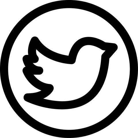 Twitter SVG Icon